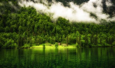 Nature Landscape Germany Lake Reflection Trees Mist Forest