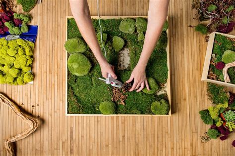 How To Make Your Own Moss Wall Supermoss