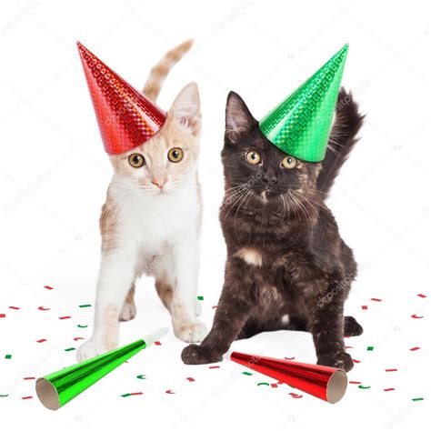 Two Cute Kittens In Party Hats Stock Photo By ©adogslifephoto 63413585