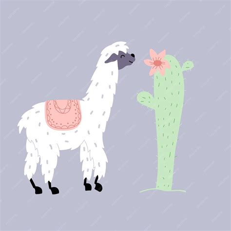 Premium Vector Lama Vector Illustration Outline Cartoon Baby Llama