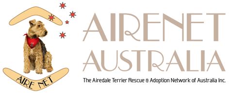 Airedale Terrier Rescue & Adoption Network of Australia