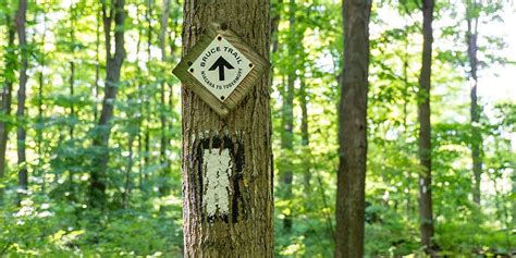 The Bruce Trail Everything You Need To Know About This Legendary