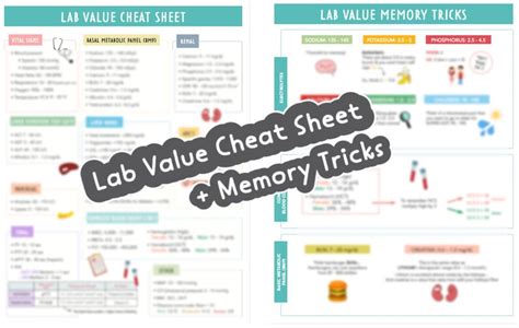 Lab Value Cheat Sheet Memory Tricks Nursing Guides Etsy