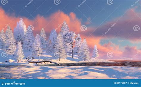 Snowy Fir Forest And Frozen River At Sunset Stock Image Image Of
