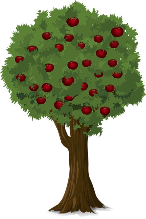 Branch apple id tree, cartoon apple, food, plant stem, flower png. Free vector graphic: Tree, Apple, Apple Tree, Nature - Free Image on Pixabay - 923776