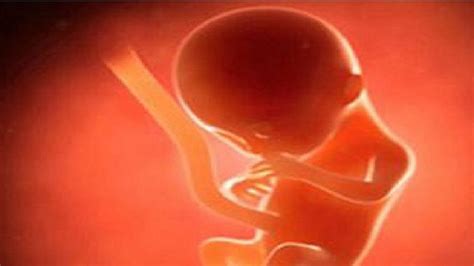 Omg News ماں کے پیٹ میں حاملہ ہوگیا پانچ مہینے کا جنین، ڈاکٹرز حیران، میڈیکل سائنس کیلئے چیلنج