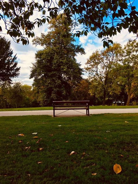 Park Bench Park Aesthetic Green Outdoor Park Park Aesthetic