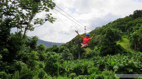 Zip lines can be extremely dangerous (google aimee copeland to learn more about how she was horribly maimed after being injured by a homemade zipline). Yunke Zipline Adventure - Zip Line Tour in El Yunque Rainforest | Puerto Rico Day Trips Travel Guide