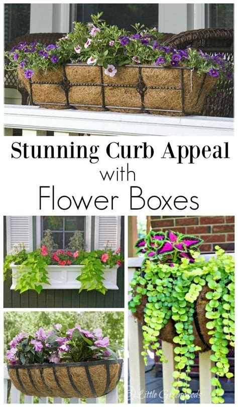 How To Add Fabulous Curb Appeal With Flower Box Ideas Front Porch