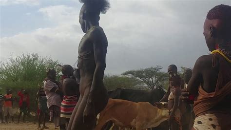 Bull Jumping Ritual By Hamar Tribe Omo Valley Ethiopia Dreamland