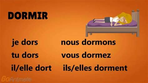 Verbo Dormir No Passado