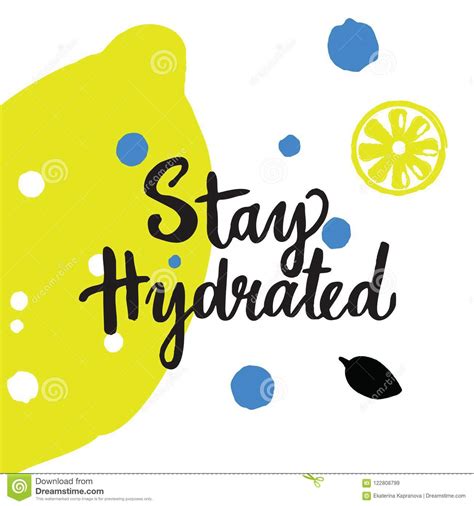 Stay Hydrated Motivation Quote Modern Calligraphy Text Vector