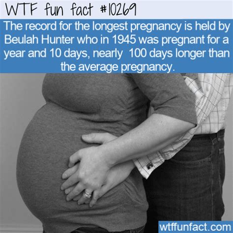 Wtf Fun Fact Longest Pregnancy