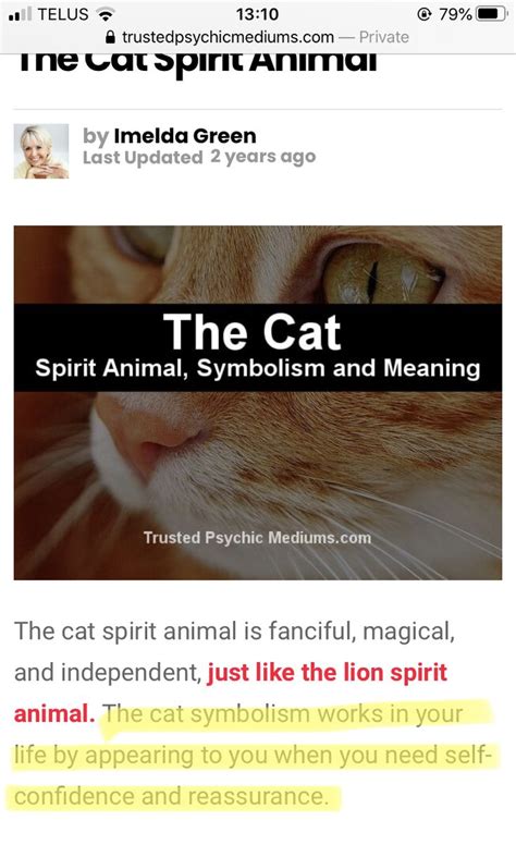 Pin By Jessica Roberts On Spirit Animals Cat Spirit Animal Cat