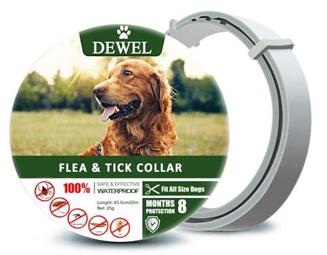 The 3 Best Flea Collars For Dogs