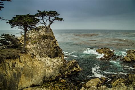 The Lone Cypress Pebble Beach Ca And An Impending Storm 5443x3629