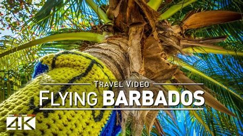 4k Footage Landing In Barbados Caribbean 2019 Youtube