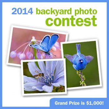 Do it yourself network sweepstakes. Diy landscaping sweepstakes 2013 Info | Liboks