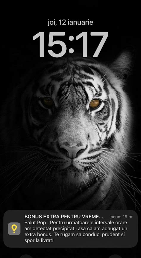 Создать мем тигр 2022 морда тигра черно белый тигр Картинки