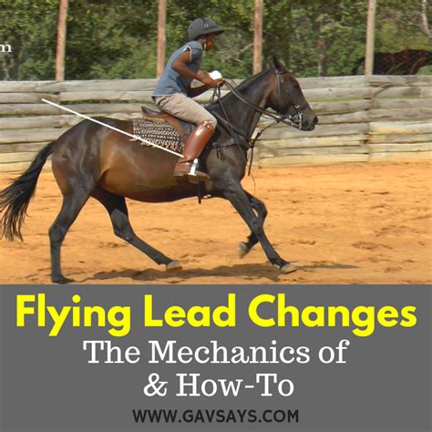 Flying Lead Changes Learn The Mechanics Of And How To