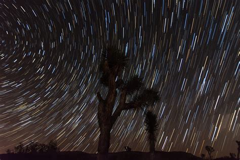 Star Trails In Joshua Tree National Park First Attempt At Flickr