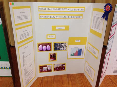 Pine Trails Winning Science Fair Projects Mrs Schandels 5th Grade