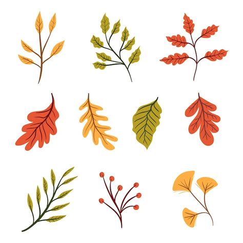 Free Vector Autumn Leaves Collection Drawn