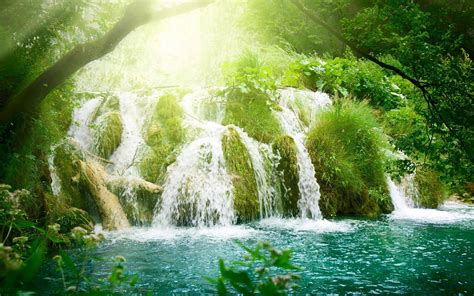 Forest Waterfall Wallpaper Widescreen