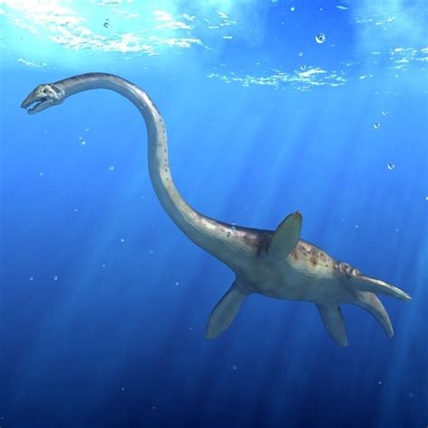 Can Dinosaurs Exist In The Sea Quora
