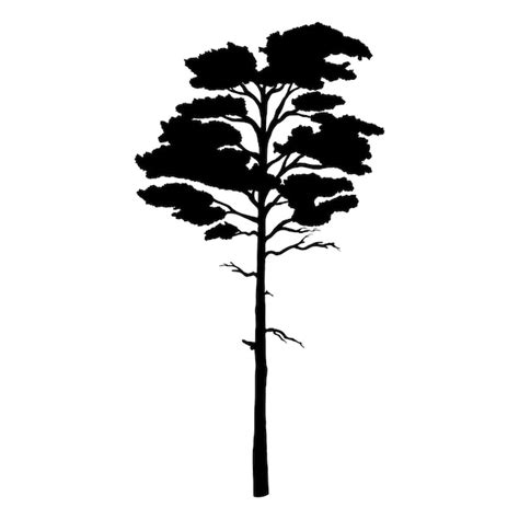 Premium Vector Vector Black Silhouette Of Pine Tree