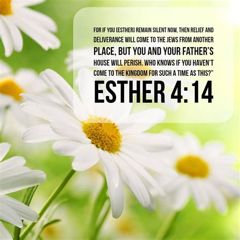 Esther 414 Wallpapers Wallpaper Cave