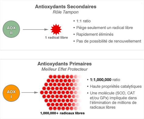 Antioxydants Primaires Bionov Plus Grand Producteur Mondial De Sod