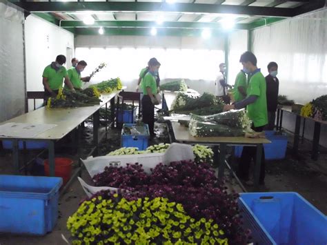 Magnificient diagraph sdn bhd, which held carrefour, was later renamed aeon big. Magnificent Associated Nurseries Sdn. Bhd.