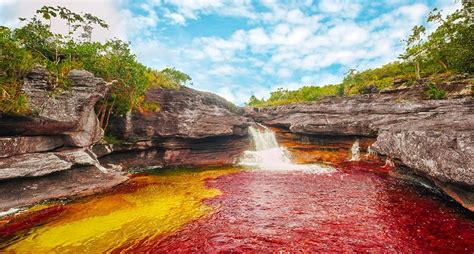 El turismo en el caribe mexicano resiste a la pandemia de coronavirus con visitantes procedentes especialmente de estados unidos, adaptaciones contra reloj a las nuevas medidas sanitarias y. Visita el río más hermoso del mundo - National Geographic ...