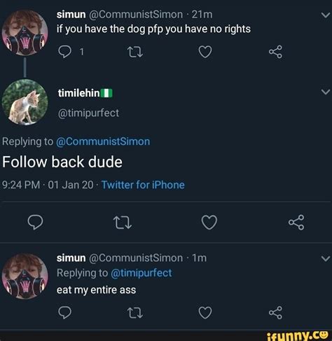No If You Have The Dog Pfp You Have No Rights Ifunny
