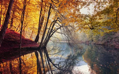 Nature Landscape Fall Trees Yellow Red Leaves Mist River Water Reflection Turkey