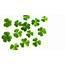 12 Things You Probably Never Knew About The Irish Shamrock  Post