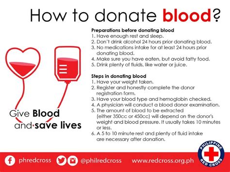 Expats Guide Donating Blood Philippine Primer