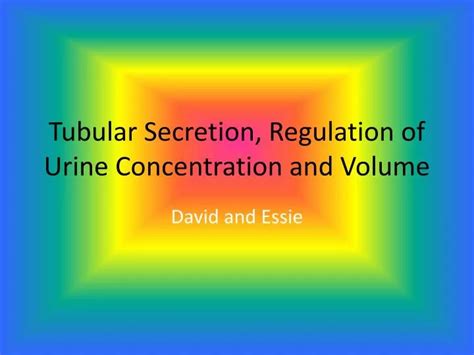 Ppt Tubular Secretion Regulation Of Urine Concentration And Volume