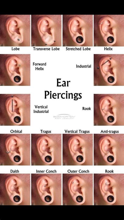 Ear Piercing Piercings Ear Piercing For Women Ear Piercings