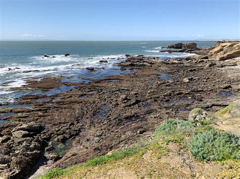 For travellers visiting laguna beach, the tides laguna beach is an excellent choice for rest and a pool and barbeque facilities will also help to make your stay even more special. Explore the Caves and Tidepools of Crystal Cove State Park ...