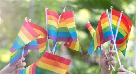 While pride month 2021 will look a lot different than 2020 — being able to celebrate outside, safely, with other people is always welcome — networks and streaming services will have plenty of lgbtq+. 5 Ways to Celebrate Pride Month 2021 in your Workplace