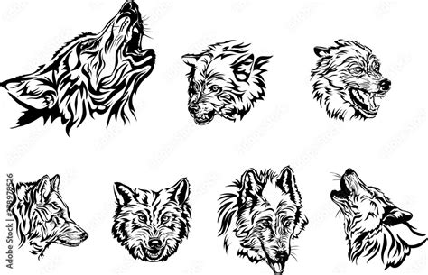 Wolf Portrait White Black Vector Graphics Drawing Picture