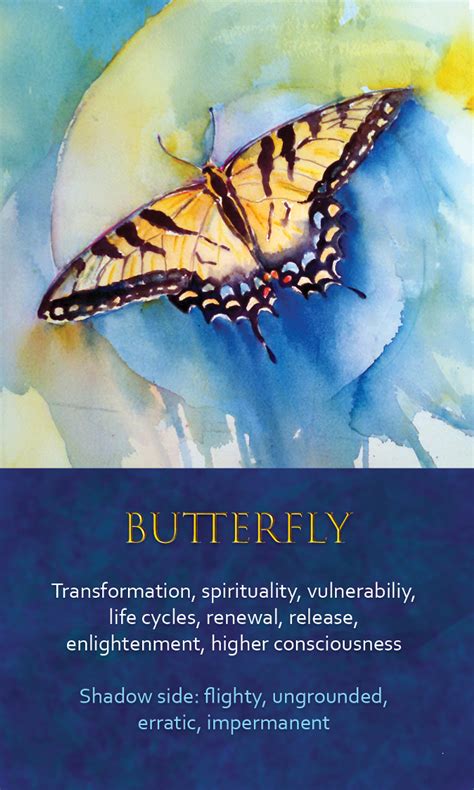 Spirit Animal Awareness Oracle Cards Butterfly Find Your Spirit