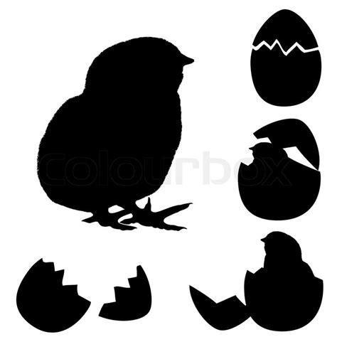 All chickens more life better with cutting file chicken cricut silhouette cameo rooster open svg/ monogram vinyl files svg chicken. Vector illustration of a chicken silhouette. Newborn chick ...