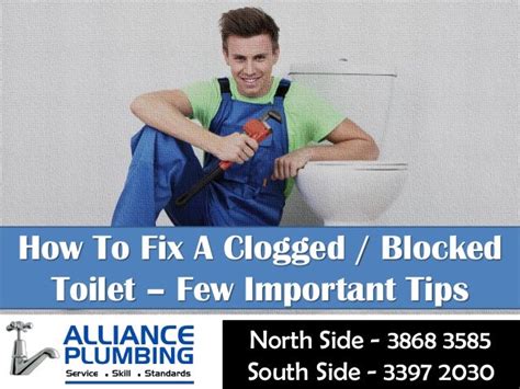 How To Fix A Clogged Blocked Toilet Few Important Tips Alliance