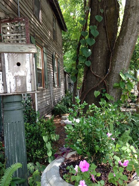 Fernandina Beach off the beaten path | Fernandina beach, Beach, Paths