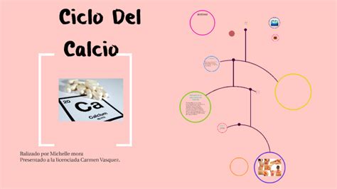 Ciclo Del Calcio By On Prezi