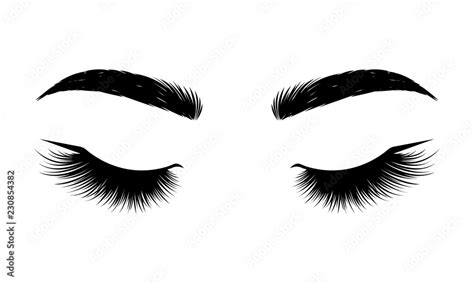 Black Lashes Woman Eyes With Long Eyelashes Vector Illustration