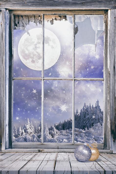 Winter Landscape Through The Window Digital Art By Mihaela Pater Fine